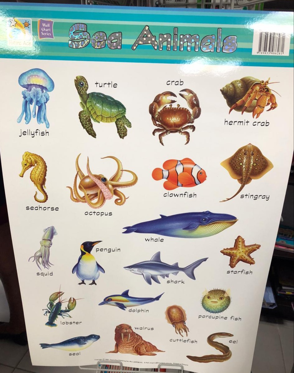 Sea Animals Chart – BookBerries Limited